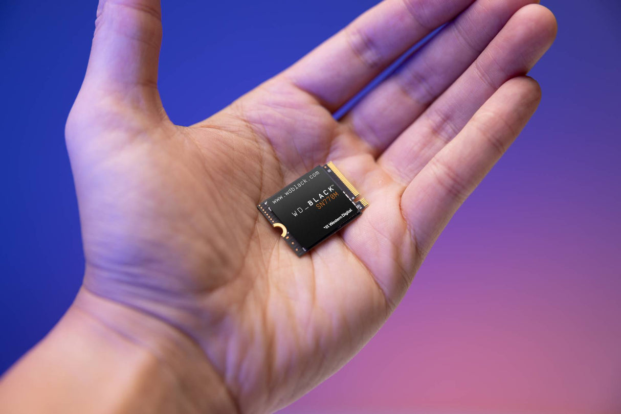 500GB SSD WD_BLACK SN770M NVMe gen4