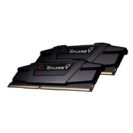 G.Skill Ripjaws V 32GB Kit (2x16GB) DDR4-3200MHz, CL14, 1.35V