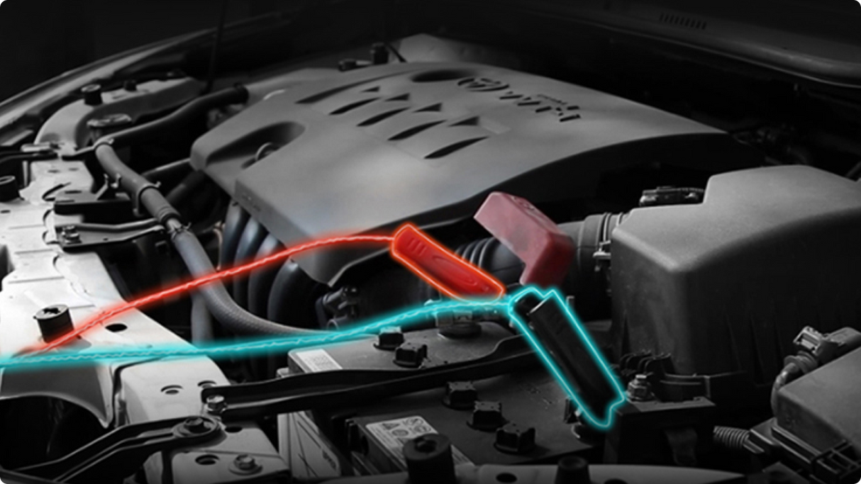 Ecoflow pametni samodejni polnilnik avtomobilskih akumulatorjev 12/24V