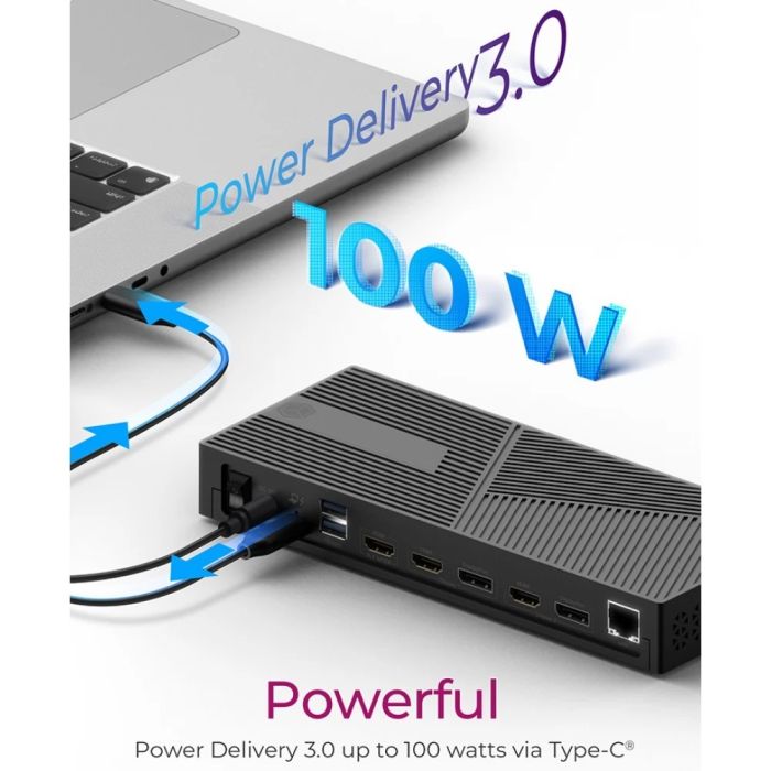 IcyBox IB-DK2246AC 11 v 1 USB-C hibridna priklopna postaja z DisplayLink