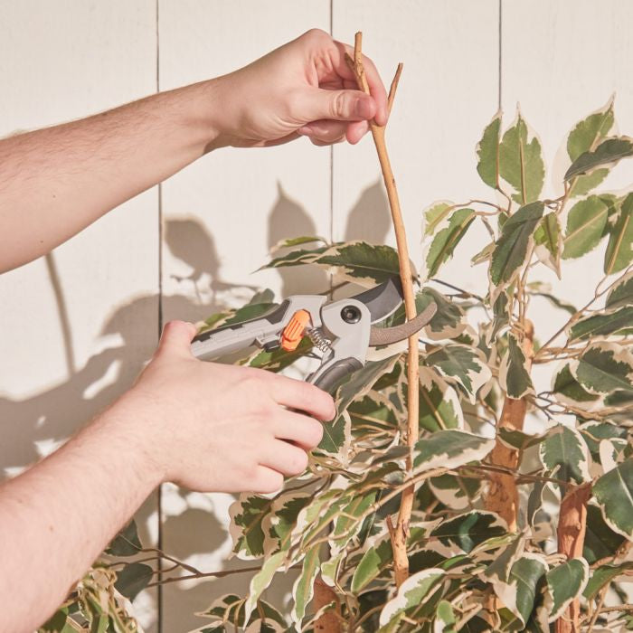 VonHaus set za obrezovanje