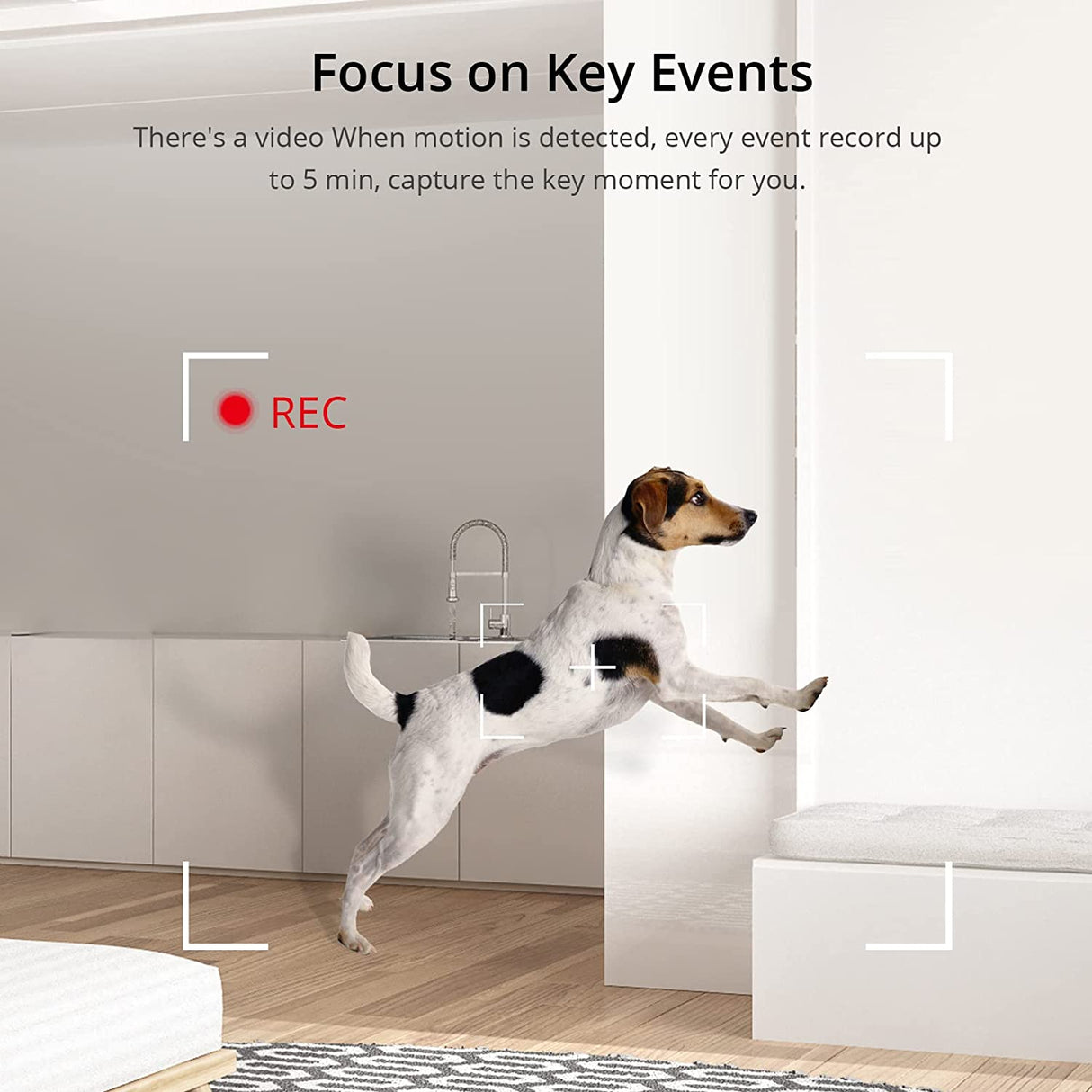 SONOFF notranja videonadzorna kamera S-CAM, 1080P, Wi-Fi