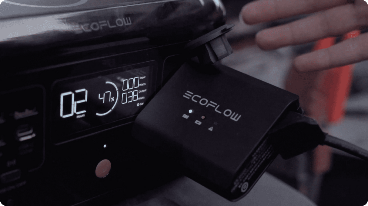 Ecoflow pametni samodejni polnilnik avtomobilskih akumulatorjev 12/24V