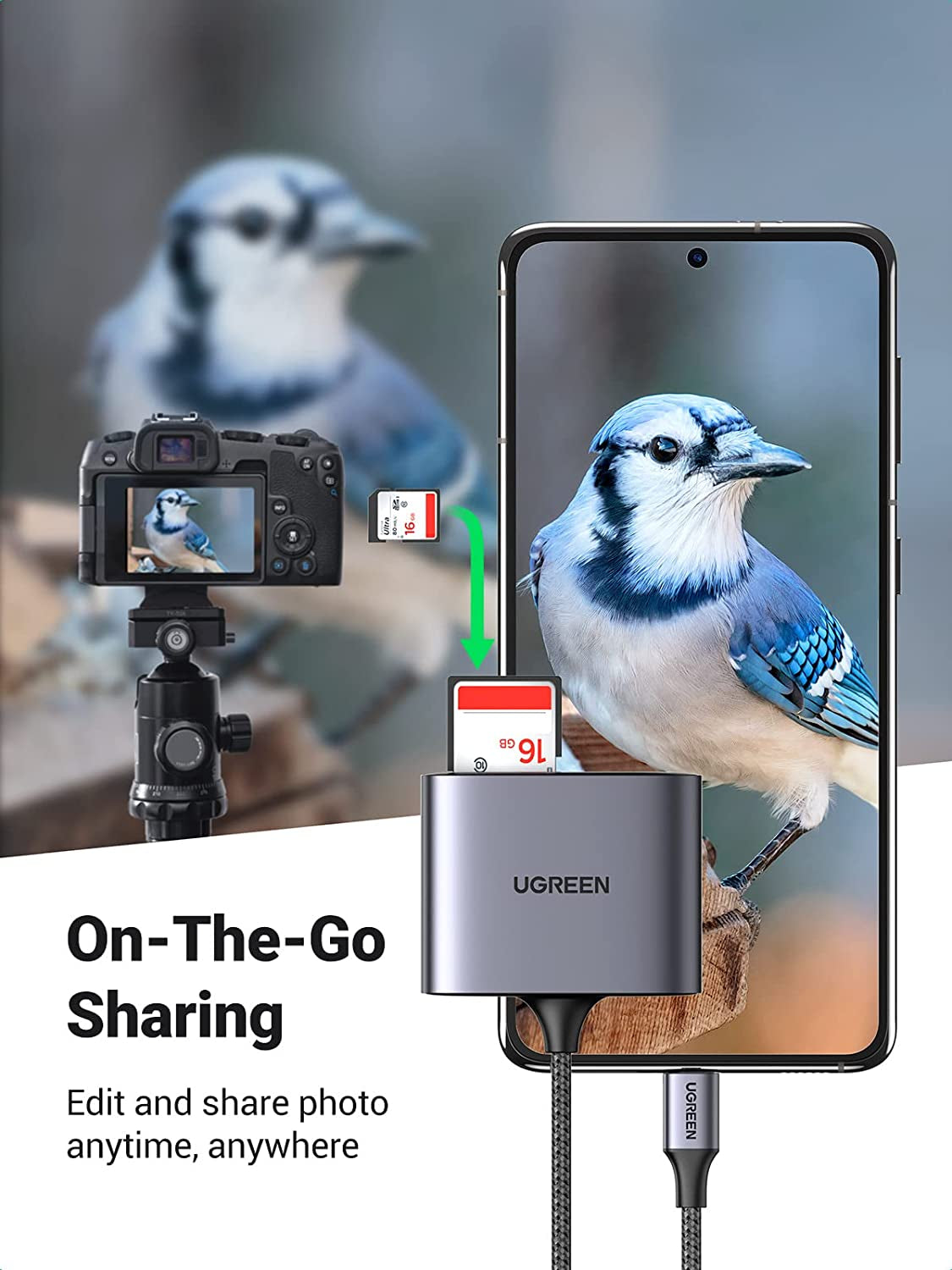 Ugreen USB-C čitalnik kartic 3v1