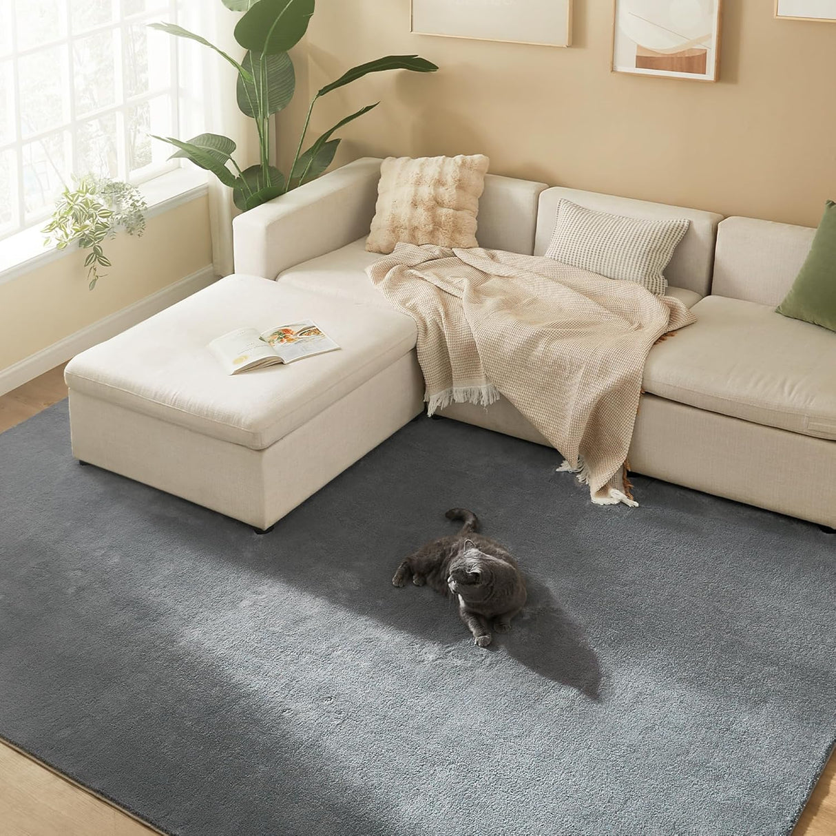 SONGMICS Preproga, 200 x 290 cm