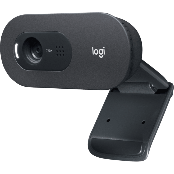 Logitech C505e HD spletna kamera