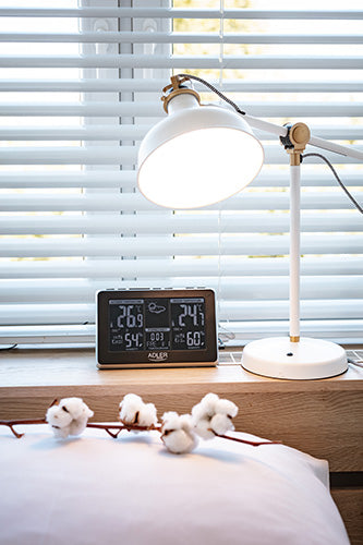 Adler vremenska postaja