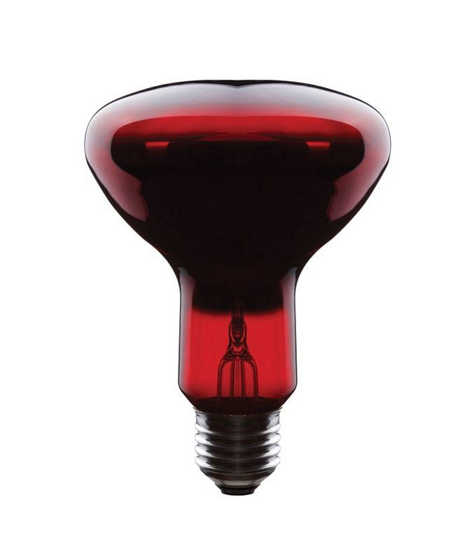 ASALITE IR sijalka E27 G95 100W 2800K