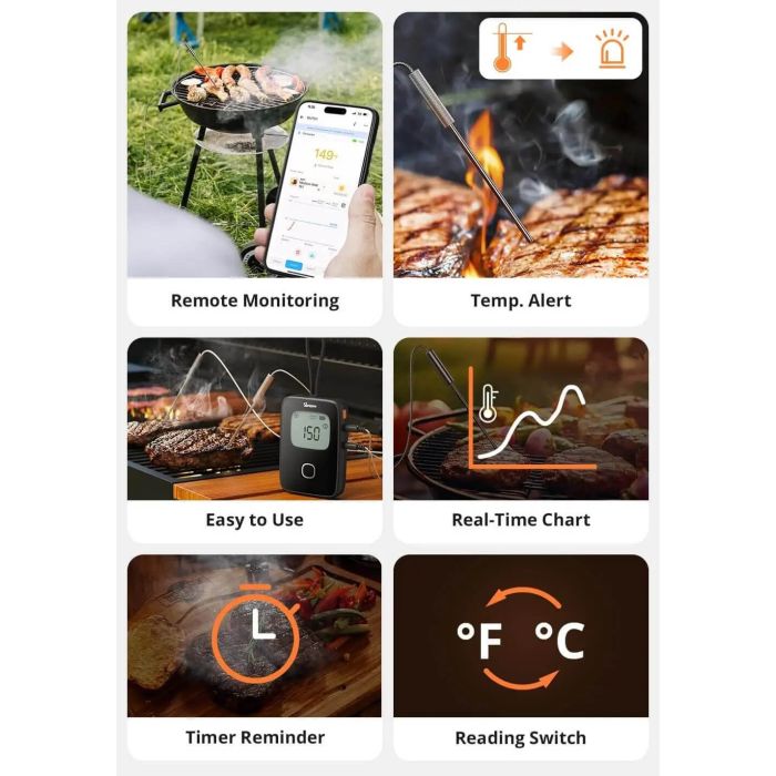 SONOFF termometer za meso BMT01