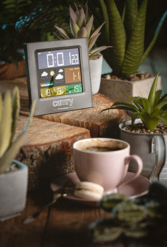 Camry vremenska postaja