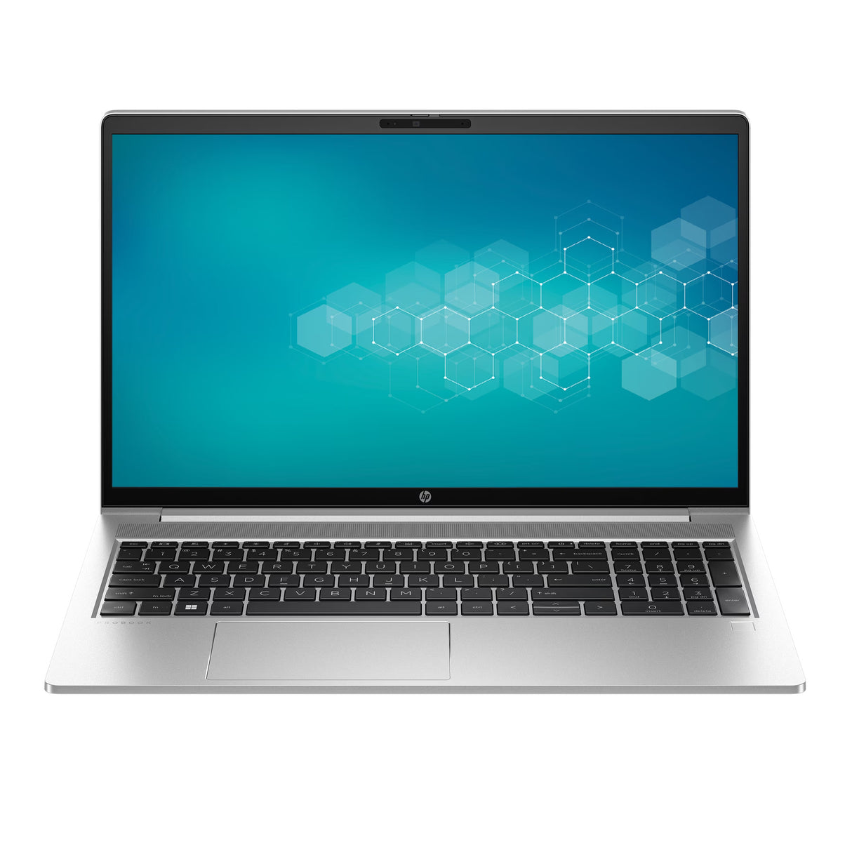 HP ProBook 455 G10 | Touch