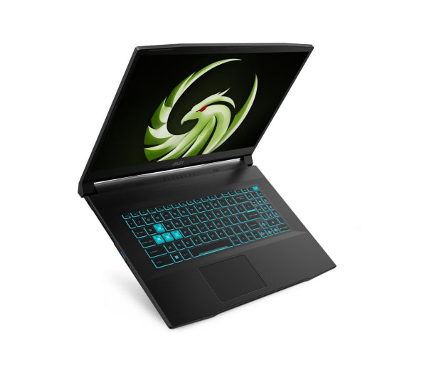 MSI Bravo 17 Ryzen 5-7535HS, 16GB, 512GB, RTX 4050, Windows 11 Home, 144Hz