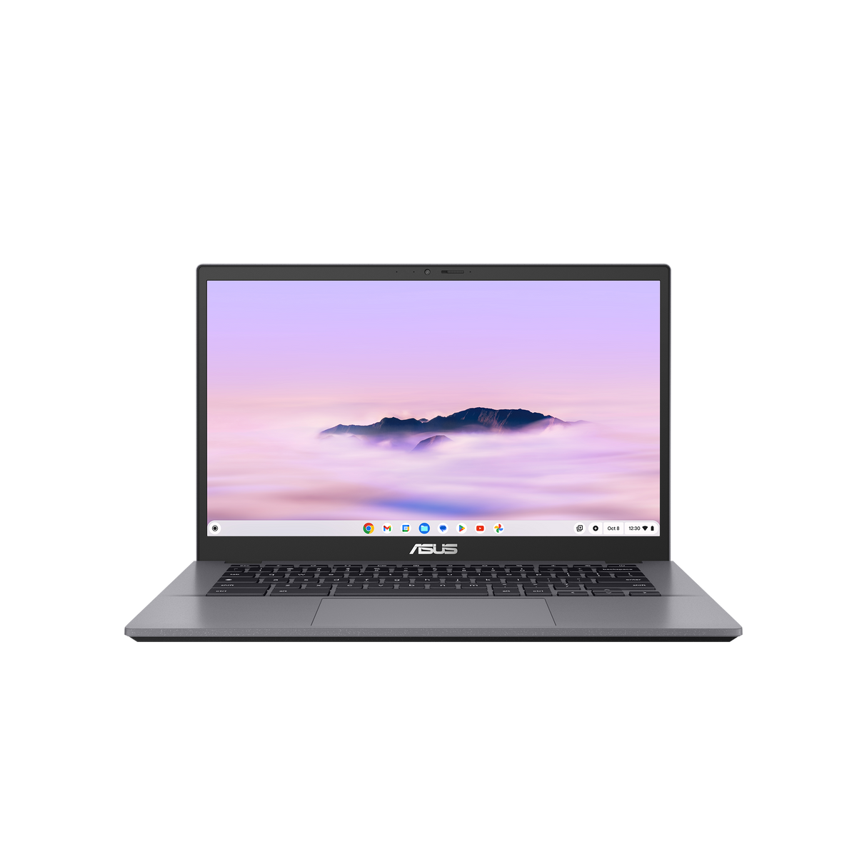 Prenosnik ASUS Chromebook Plus, Core 3-100U, 8GB RAM, 256GB SSD, ChromeOS