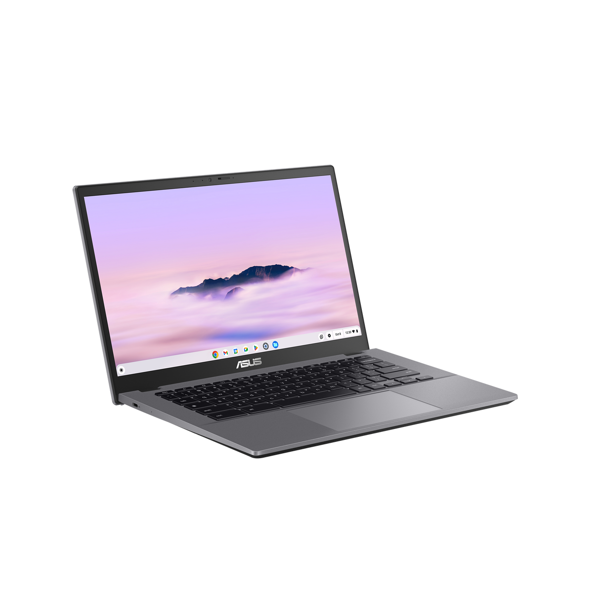 Prenosnik ASUS Chromebook Plus, Core 3-100U, 8GB RAM, 256GB SSD, ChromeOS