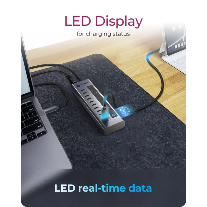 IcyBox IB-HUB1450-C31 10-portni hub vmesnik USB-C 3.2