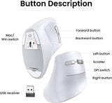 Ugreen brezžična ergonomska vertikalna miška z Bluetooth in Wi-Fi povezavo - bela