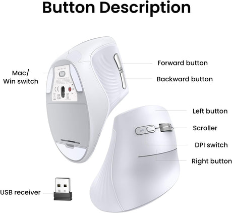 Ugreen brezžična ergonomska vertikalna miška z Bluetooth in Wi-Fi povezavo - bela