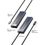 IcyBox IB-HUB1450-C31 10-portni hub vmesnik USB-C 3.2