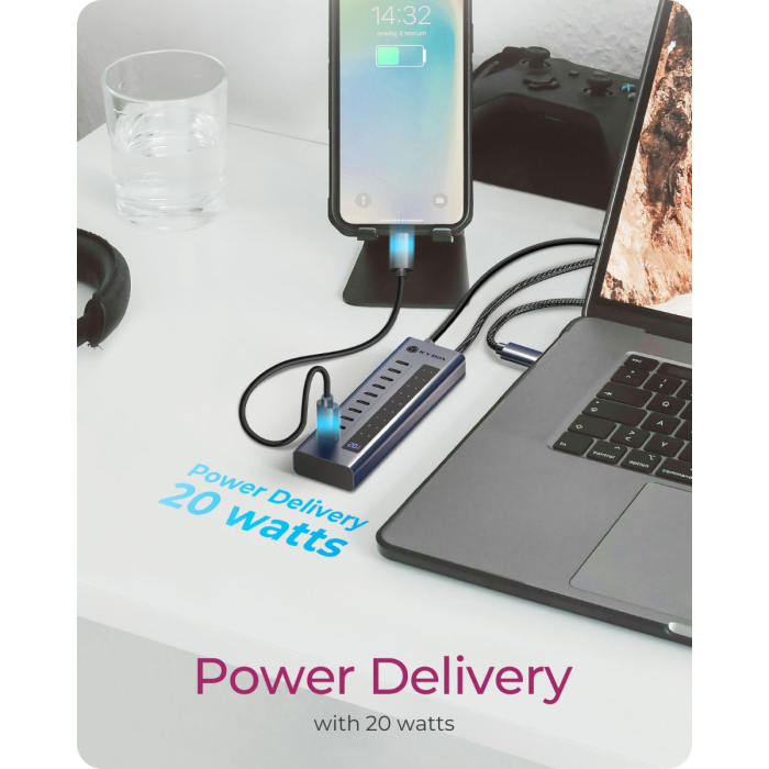 IcyBox IB-HUB1450-C31 10-portni hub vmesnik USB-C 3.2