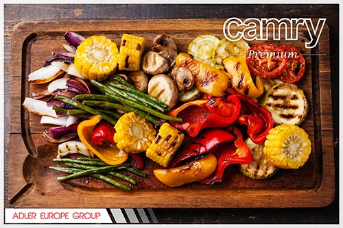 Camry raclette žar