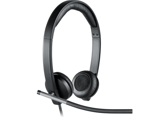 Logitech H650e slušalke, Stereo, USB