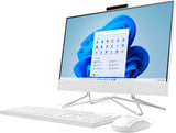 HP All-in-One 22-dd2010na