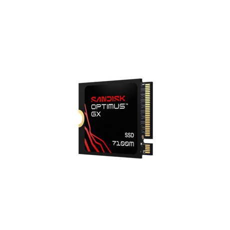 SANDISK 1TB Optimus 7100M M.2 2230-S3-M PCIe 4.0 NVMe 2.0 SSD disk