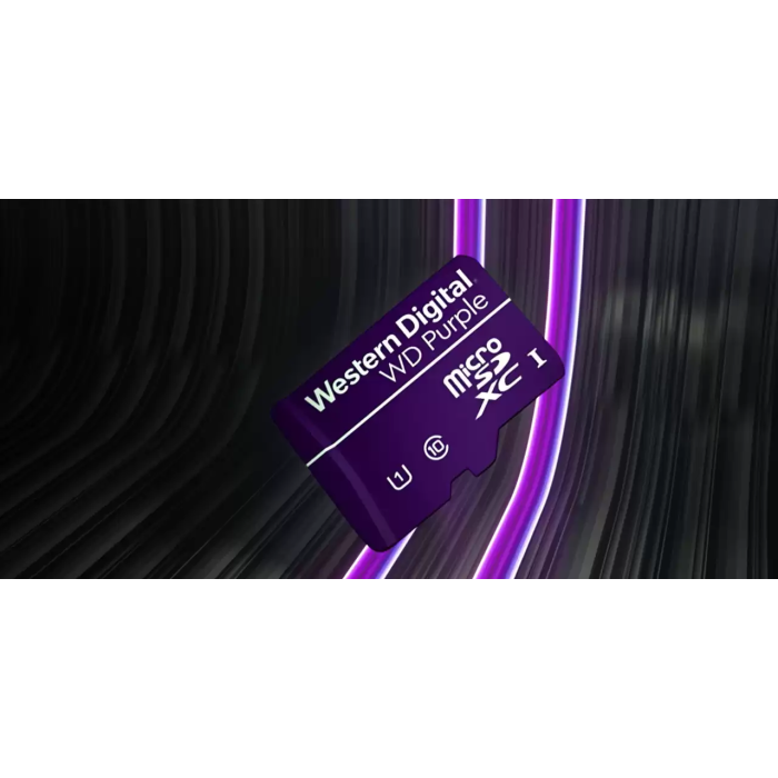 SanDisk 1TB WD Purple QD101 SC Ultra Endurance Class 10 UHS 1(U1) microSDXC kartica