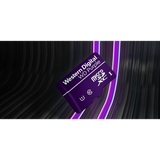 SanDisk 1TB WD Purple QD101 SC Ultra Endurance Class 10 UHS 1(U1) microSDXC kartica
