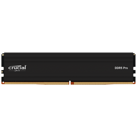 Crucial Pro 24GB DDR5-5600 UDIMM CL46, 1.1V